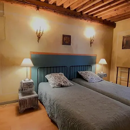 Villa Vieux-lyon - Maison Renaissance
